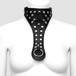 DOMINIX Deluxe Leather Studded Collar